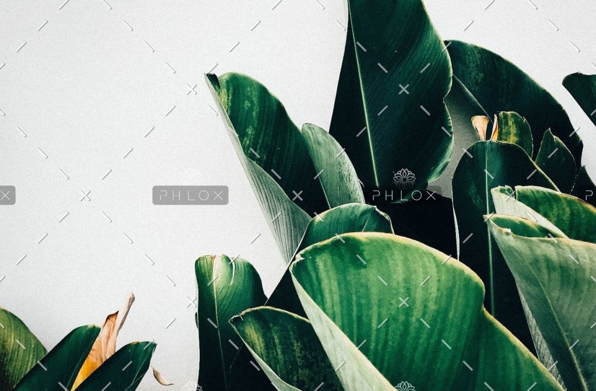 Inicio 103 demo-attachment-385-kiki-siepel-787802-unsplash