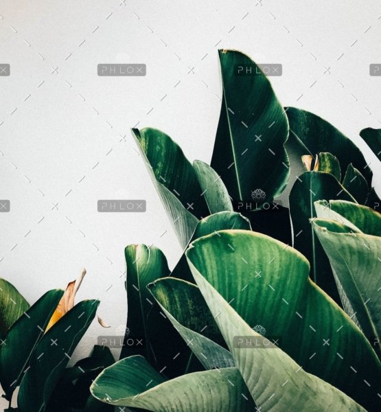 Inicio 88 demo-attachment-385-kiki-siepel-787802-unsplash