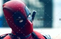 Inicio 113 demo-attachment-391-ayo-ogunseinde-325040-unsplash