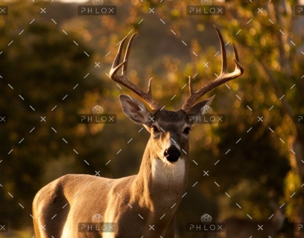 demo-attachment-434-laura-college-190105-unsplash